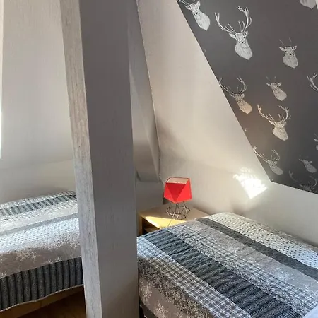 Zielone Walizki Apartment *
