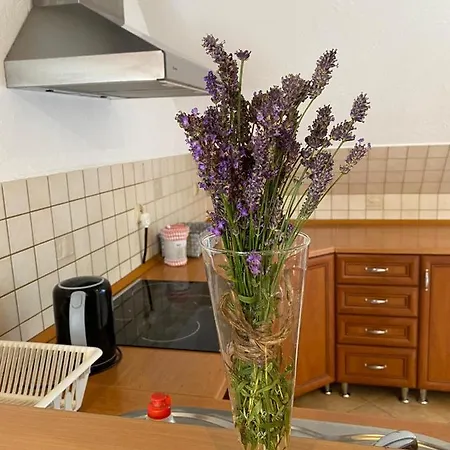 Apartamento Zielone Walizki *