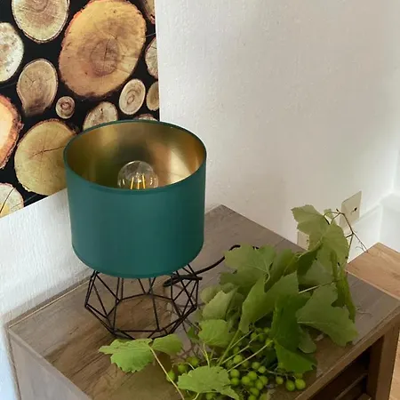 Apartment Zielone Walizki