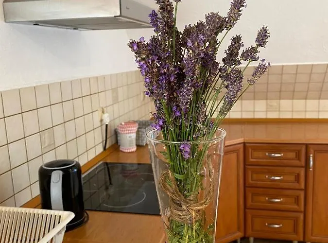 Apartment Zielone Walizki *