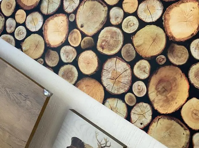 Zielone Walizki Polanica-Zdroj