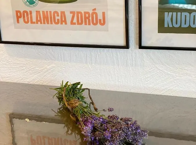 Apartment Zielone Walizki Polanica-Zdroj